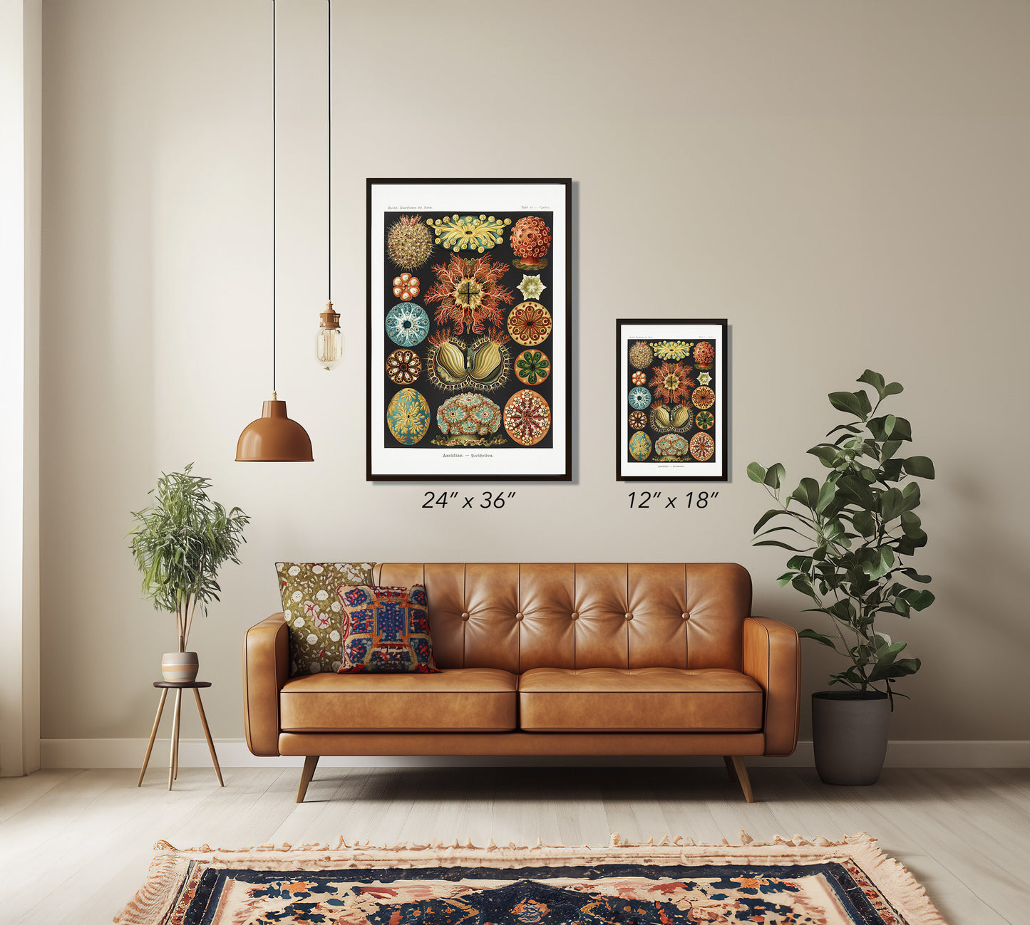 Ernst Haeckel Ascidiae Print – Vintage Scientific Sea Life Illustration Wall Art
