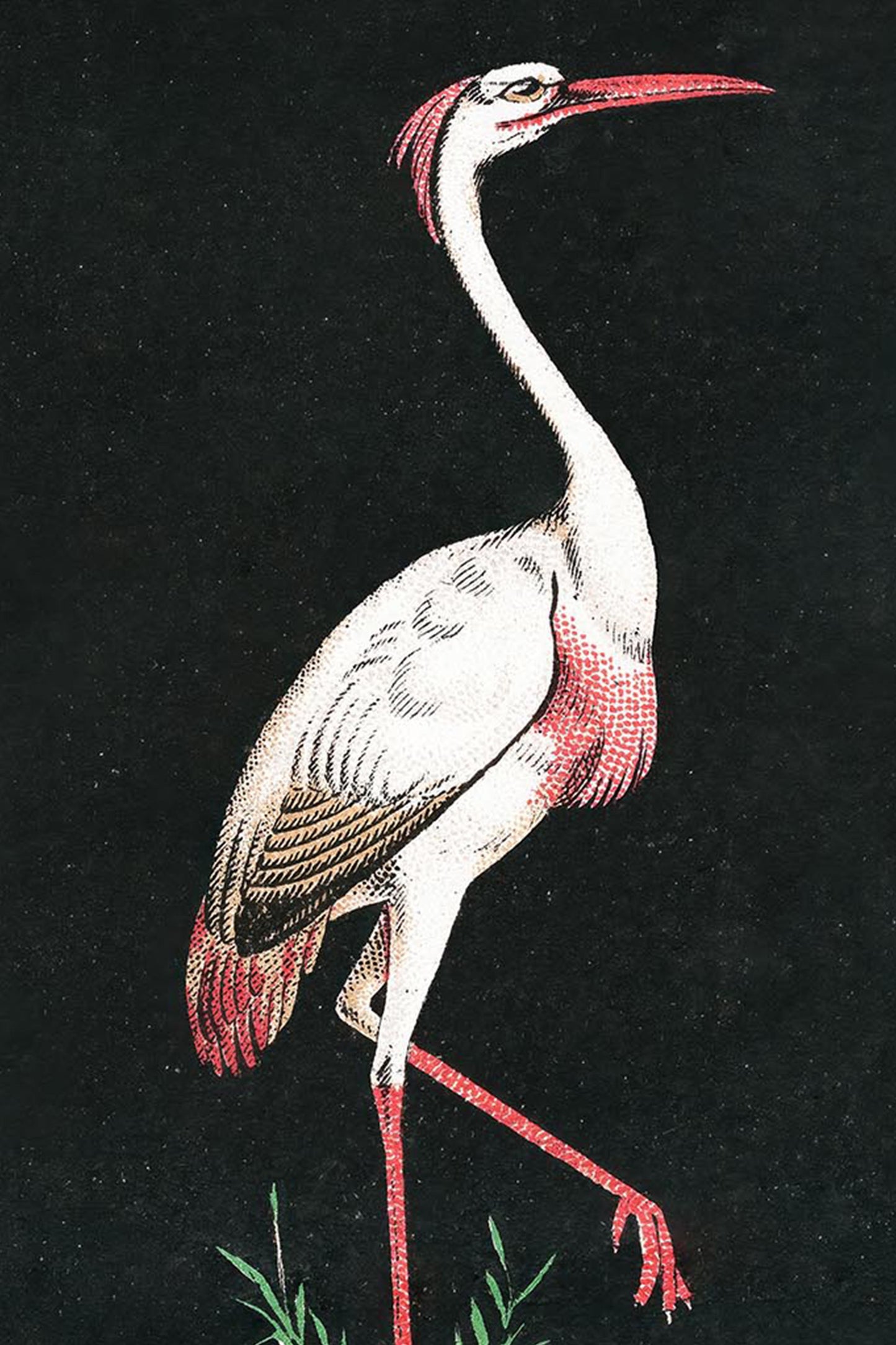 Vintage Moore’s Throat & Lung Lozenges Victorian Poster – Crane Advertising Print