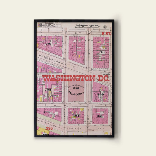 Washington D.C. Map Print I