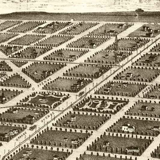Vintage Map Print of San Diego, California 1880