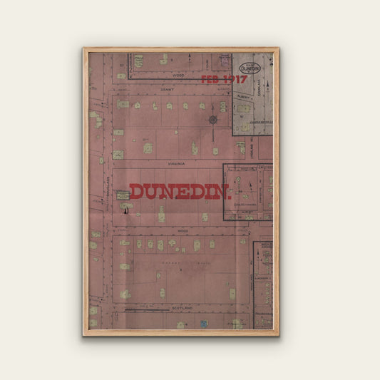Dunedin Map Print