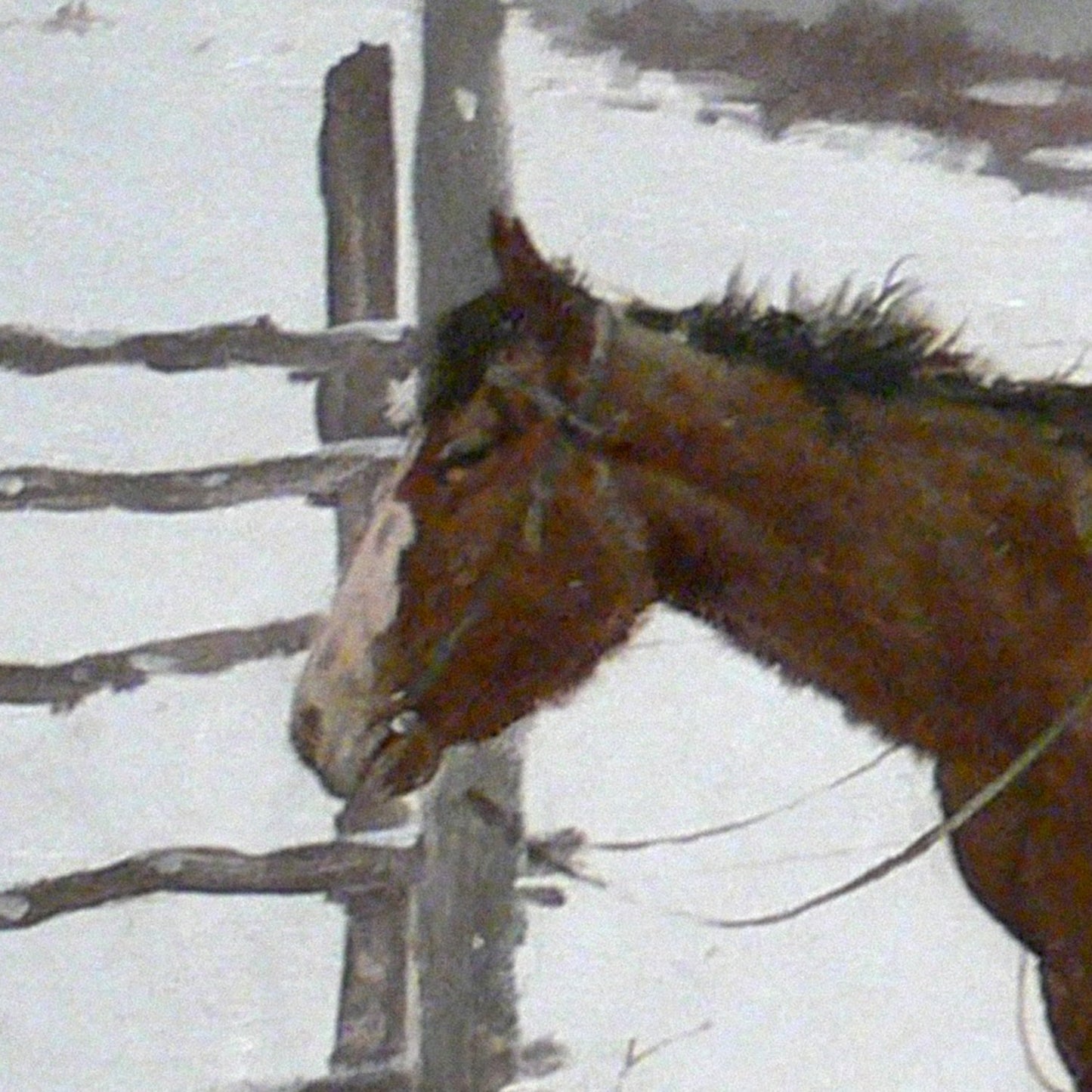 Cowboys in Snow Print