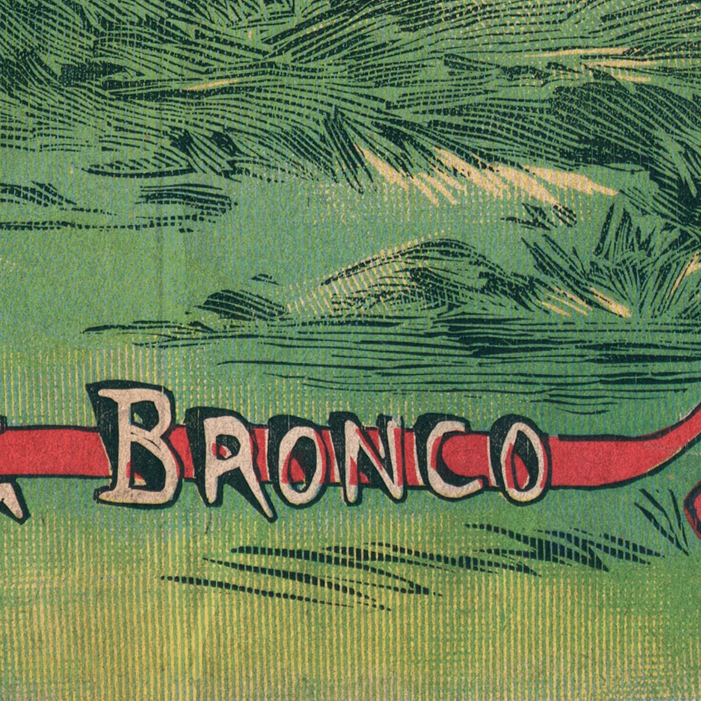 Buffalo Bill Poster Print