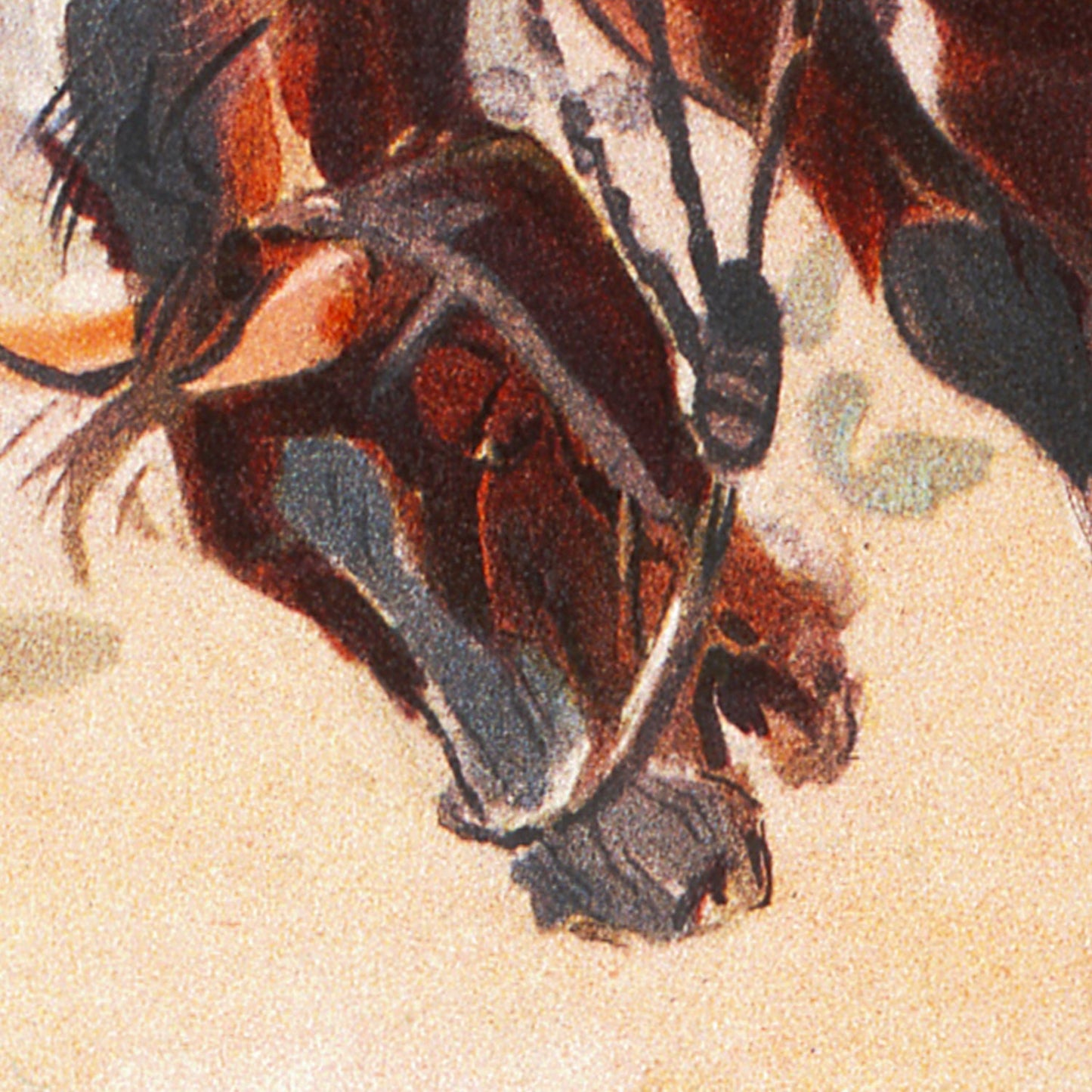 Bucking Horse Print