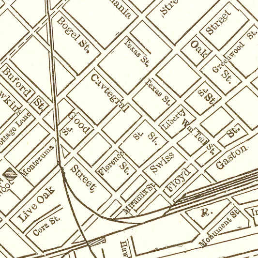 Vintage Map of Dallas, Texas 1893