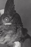 Brunhilde Cat Photography Print, 1936 — Valkyrie Costume Side Portrait