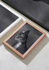 Brunhilde Cat Photography Print, 1936 — Valkyrie Costume Side Portrait