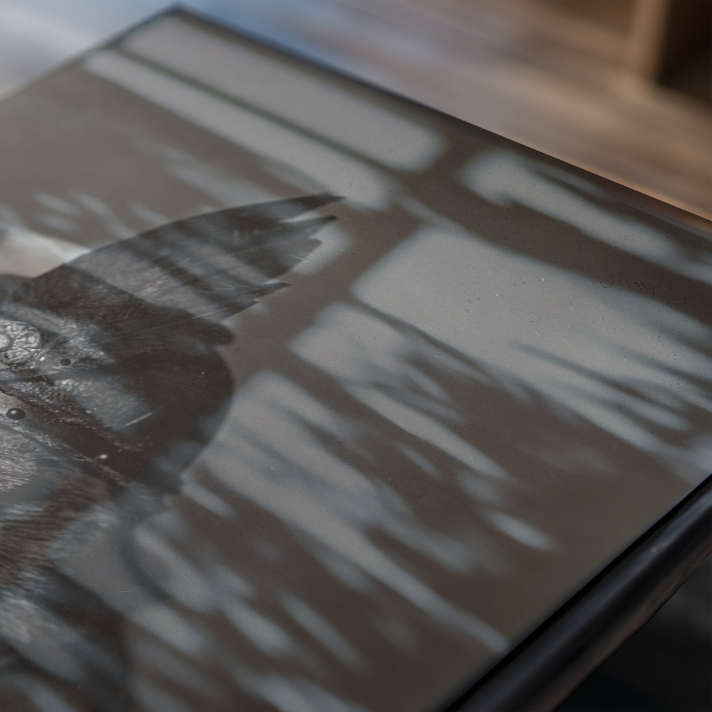 Brunhilde Cat Photography Print, 1936 — Valkyrie Costume Side Portrait