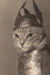 Brunhilde Cat Photography Print, 1936 — Valkyrie Costume Front Portrait