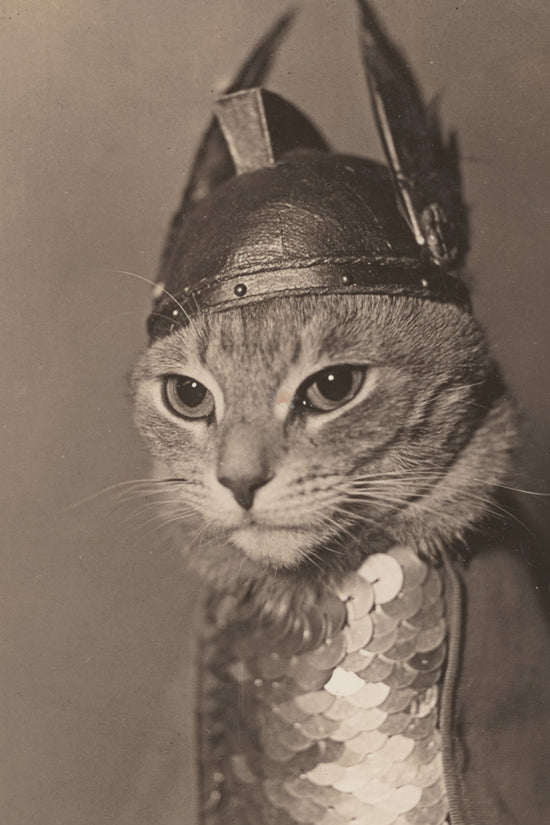 Brunhilde Cat Photography Print, 1936 — Valkyrie Costume Front Portrait