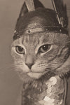 Brunhilde Cat Photography Print, 1936 — Valkyrie Costume Front Portrait
