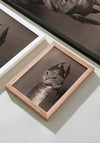 Brunhilde Cat Photography Print, 1936 — Valkyrie Costume Front Portrait