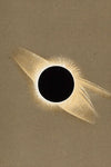 Solar Eclipse Corona – 1887 Scientific Astronomy Illustration Vintage Print