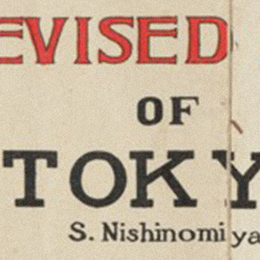 Tokyo Map Print I