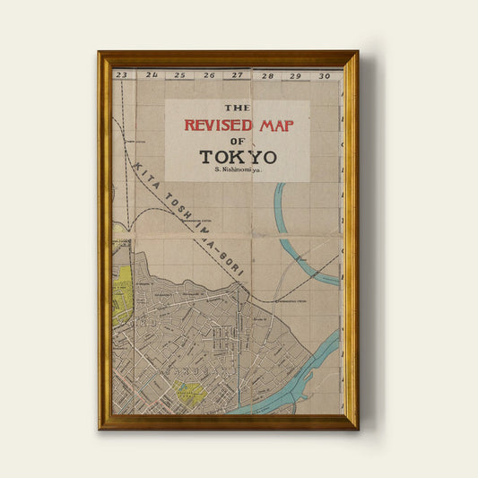 Tokyo Map Print I