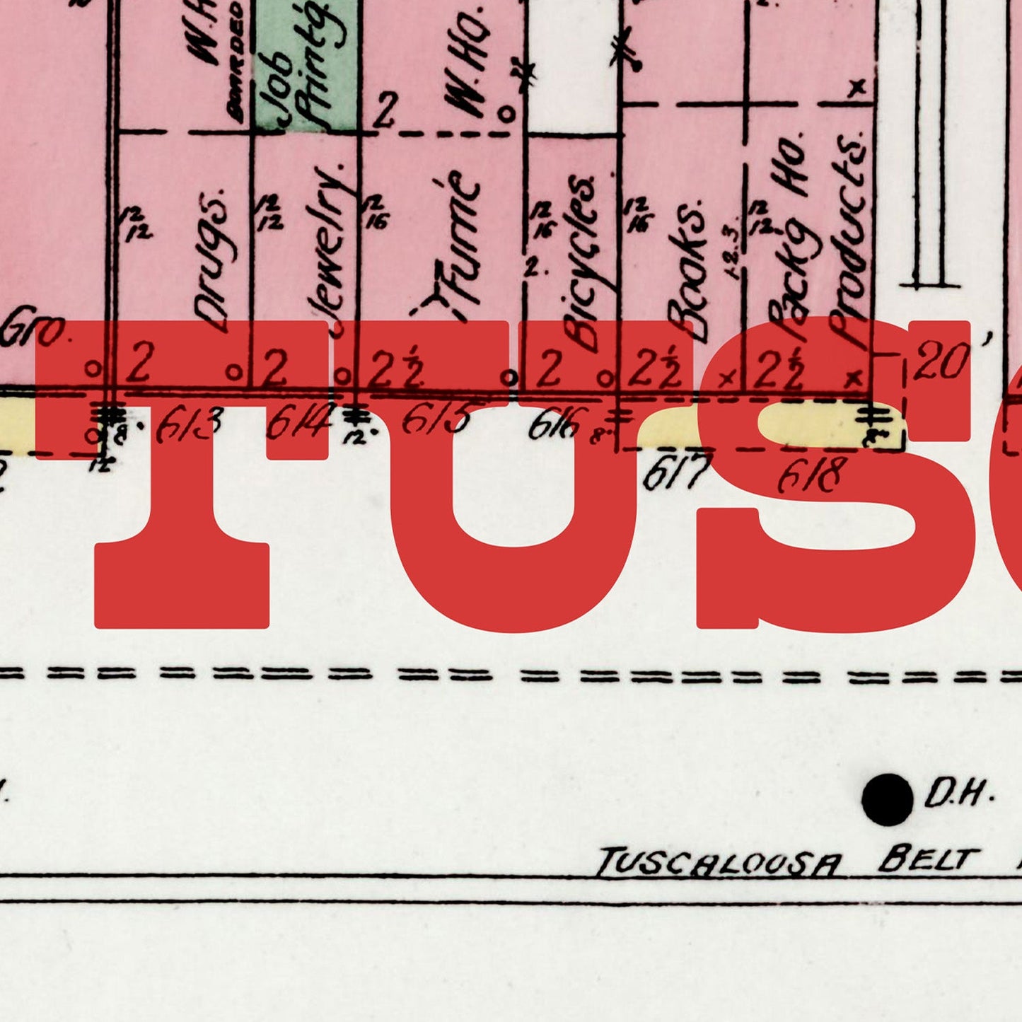 Tuscaloosa Map Print