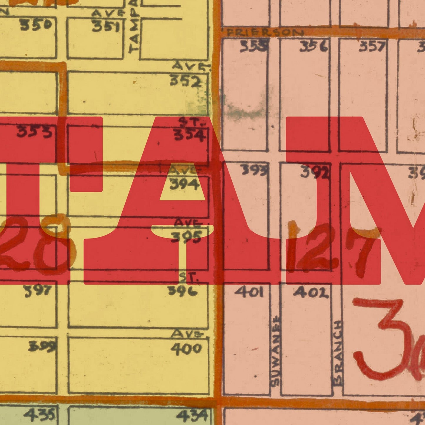 Tampa Map Print I