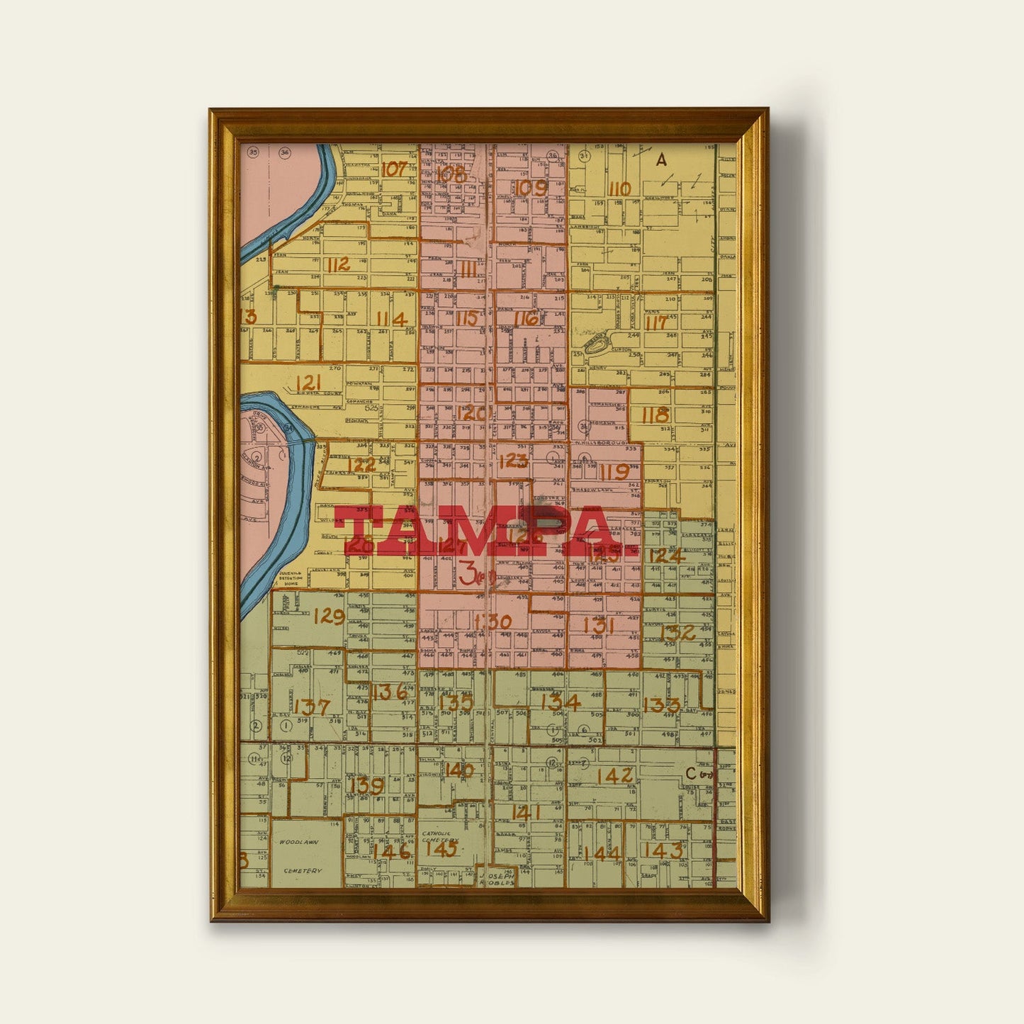 Tampa Map Print I