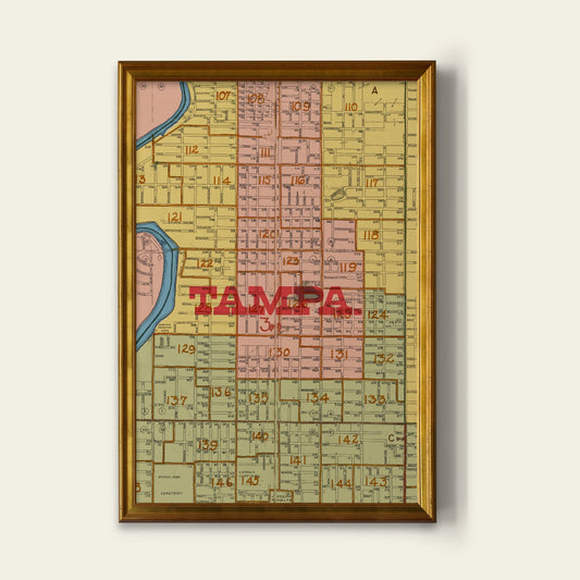 Tampa Map Print I