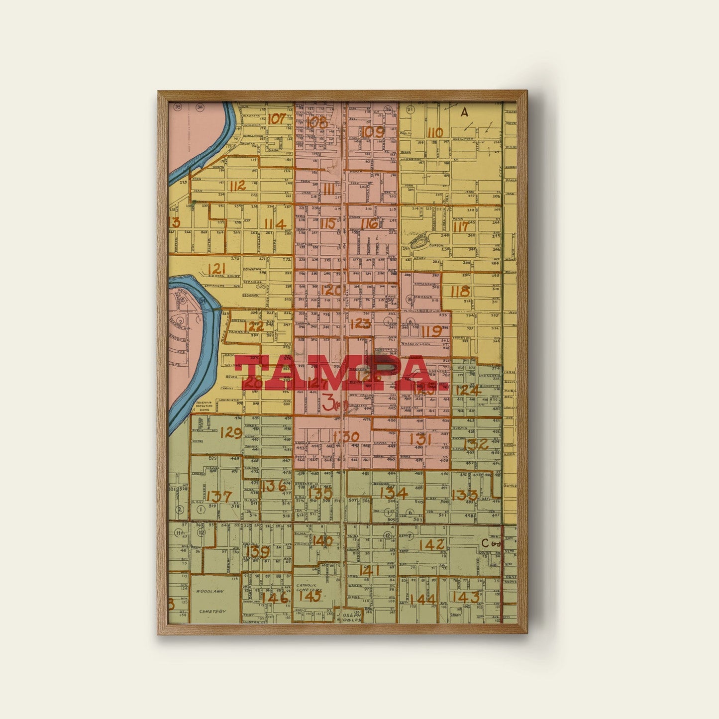 Tampa Map Print I