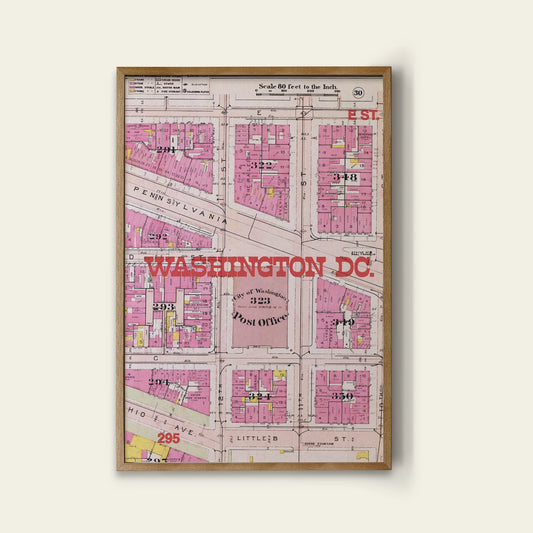 Washington D.C. Map Print I